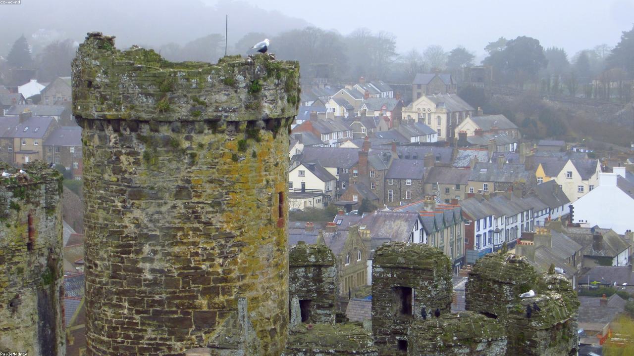 Conwy Craft Brewery kegs and brewing vessels with Conwy Castle in the background