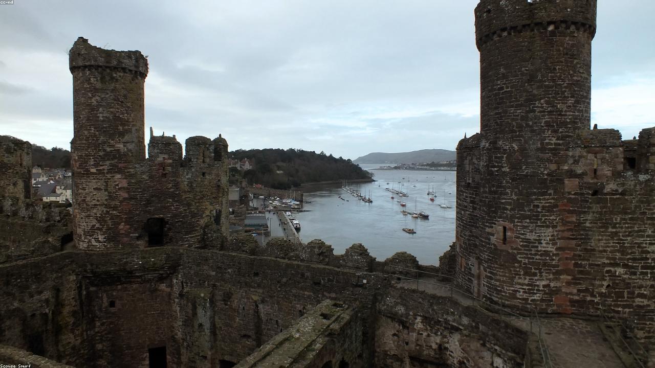 Fresh Welsh seafood and local produce at Conwy Quay market