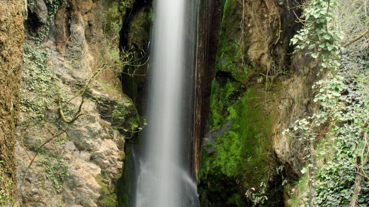 Dyserth Waterfall dropping 30 feet through a rocky limestone gorge with moss-covered walls and a plunge pool below