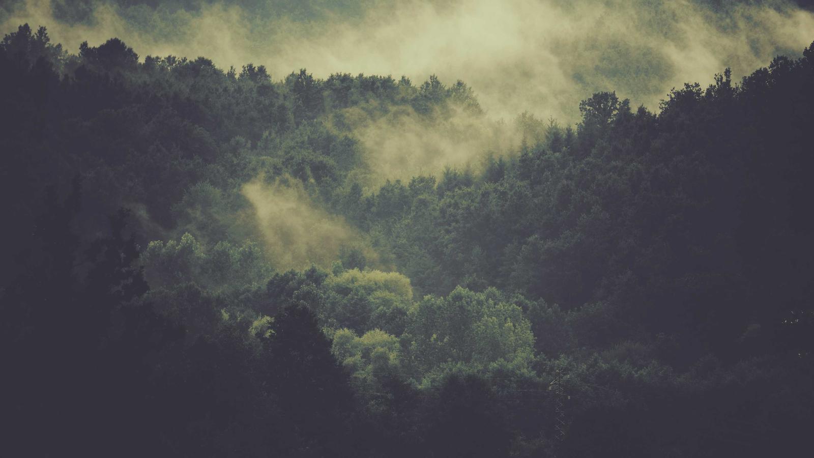 Llyn Geirionydd peaceful lake in Gwydir Forest near Trefriw
